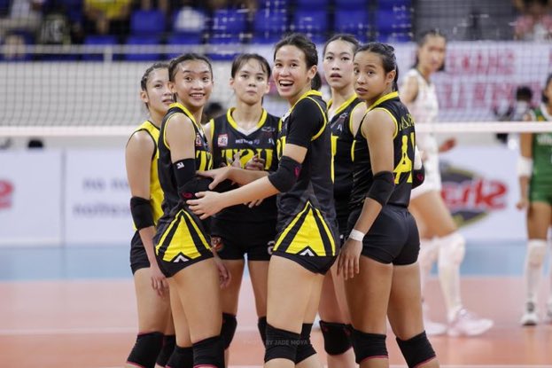 maui 🐯 tweet media