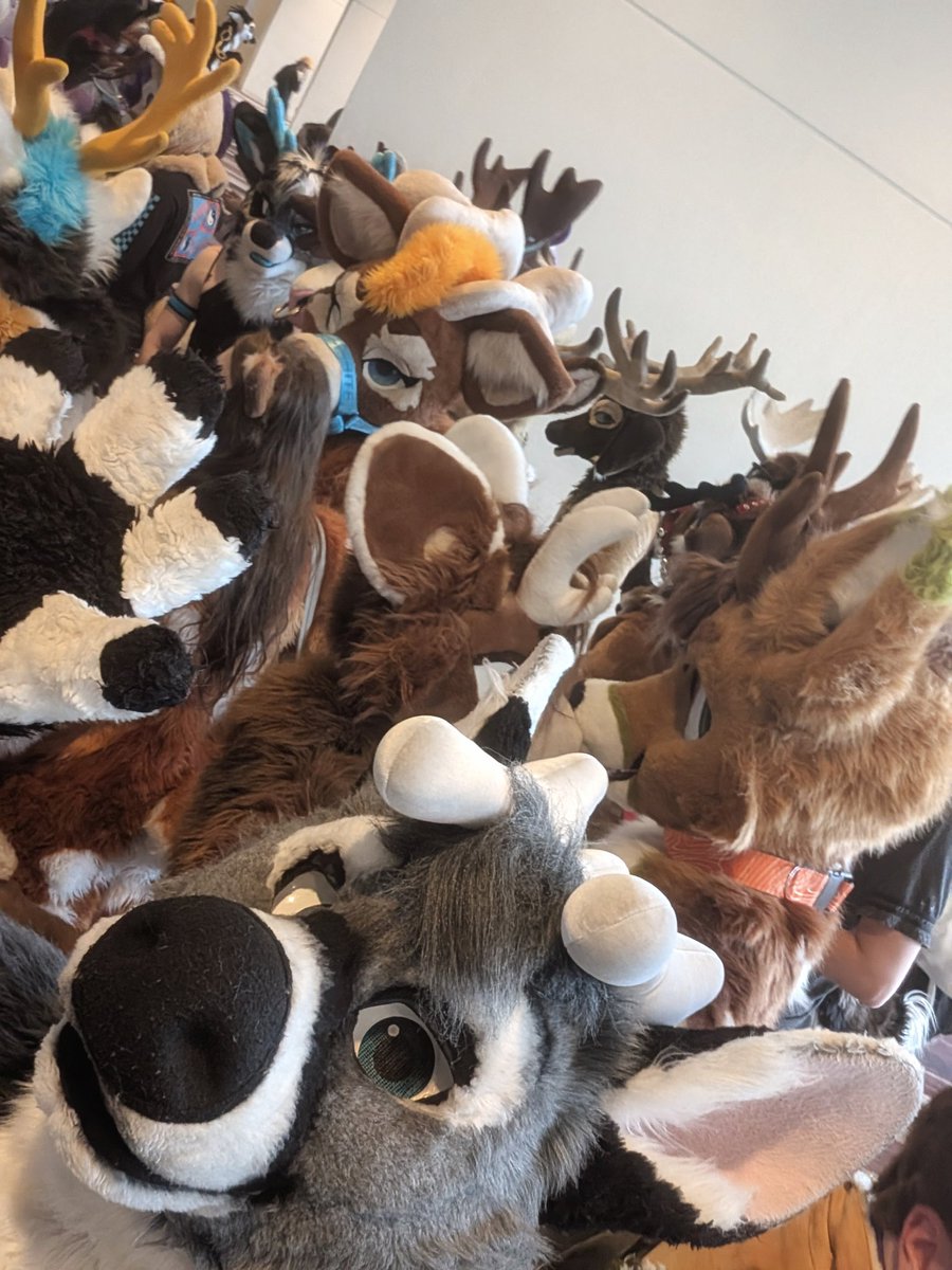 Deer deer deer! 🦌🦌🦌