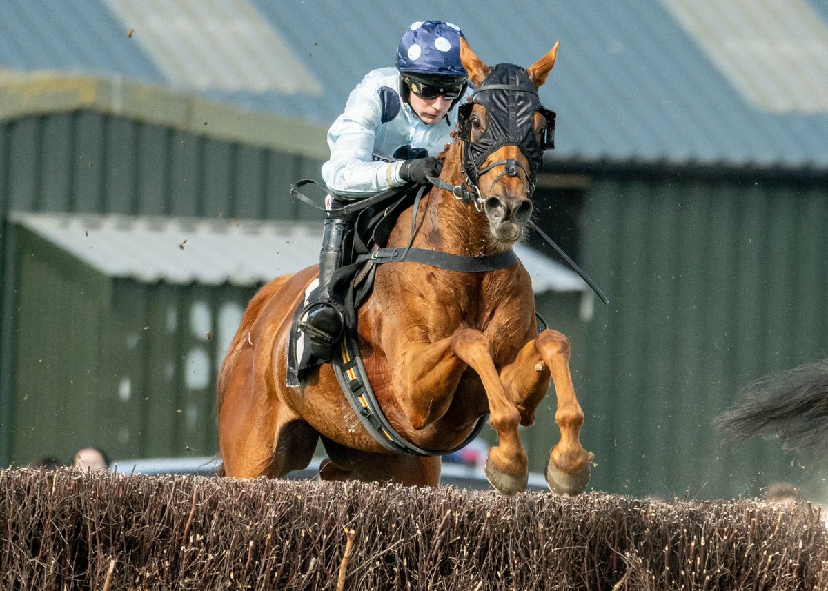The JH Builders Joinery  Handicap Chase has been won by Sea Invasion and Rex Dingle for Anthony Honehball and Mr Richard &amp; Mrs Carol Cheshire