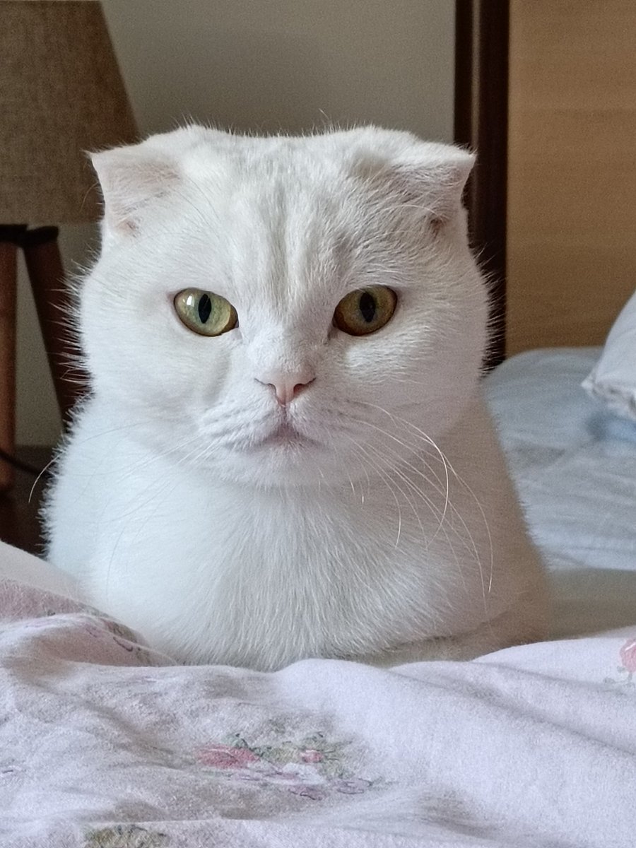 Luna Hanım