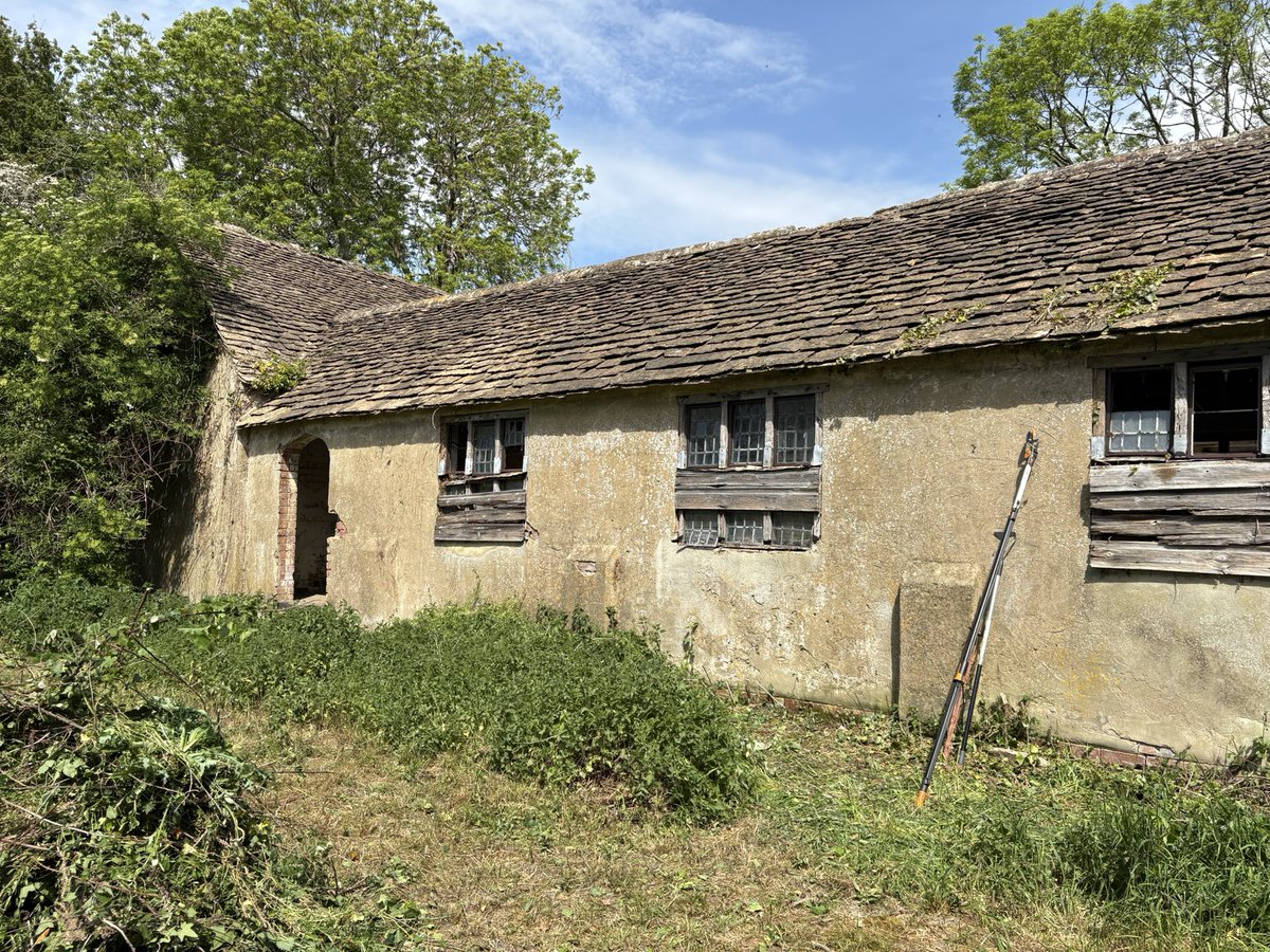 Jane Solomons tweet media