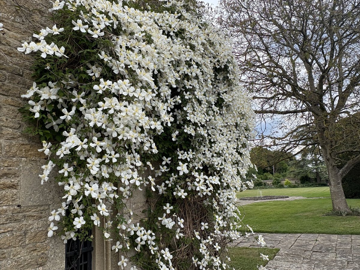 Jane Solomons tweet media