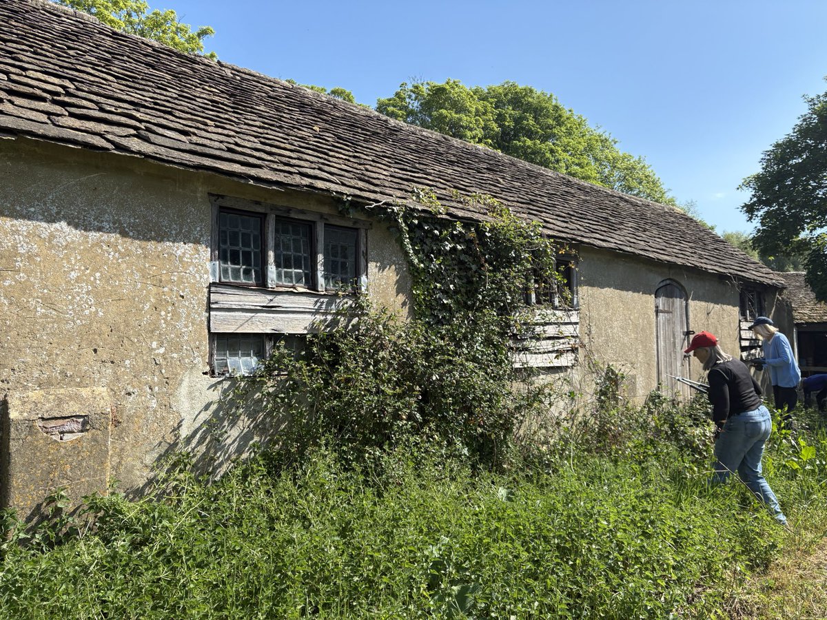 Jane Solomons tweet media