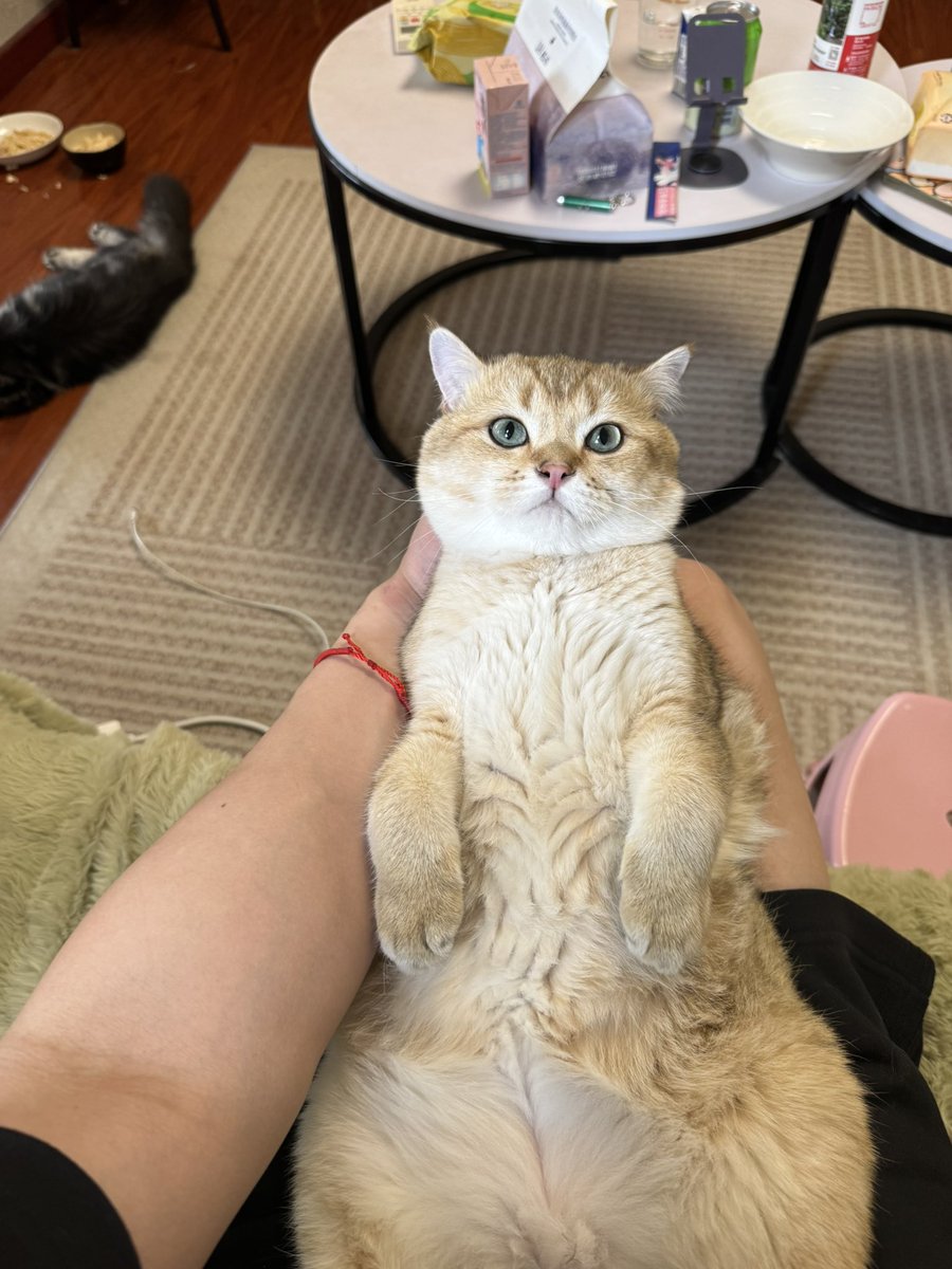 今天也好无聊 (@wangxi958639) on Twitter photo 