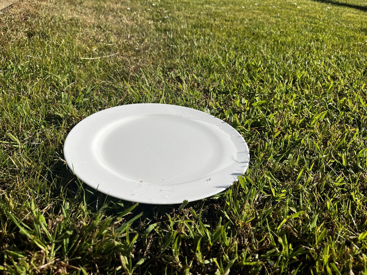 locuta's tweet photo. Tip van @BoswachterTim: zet vanwege de droogte een zo plat mogelijke bak water in je tuin, voor vogels en insecten. RT=lief https://t.co/UAVXeMPUWT