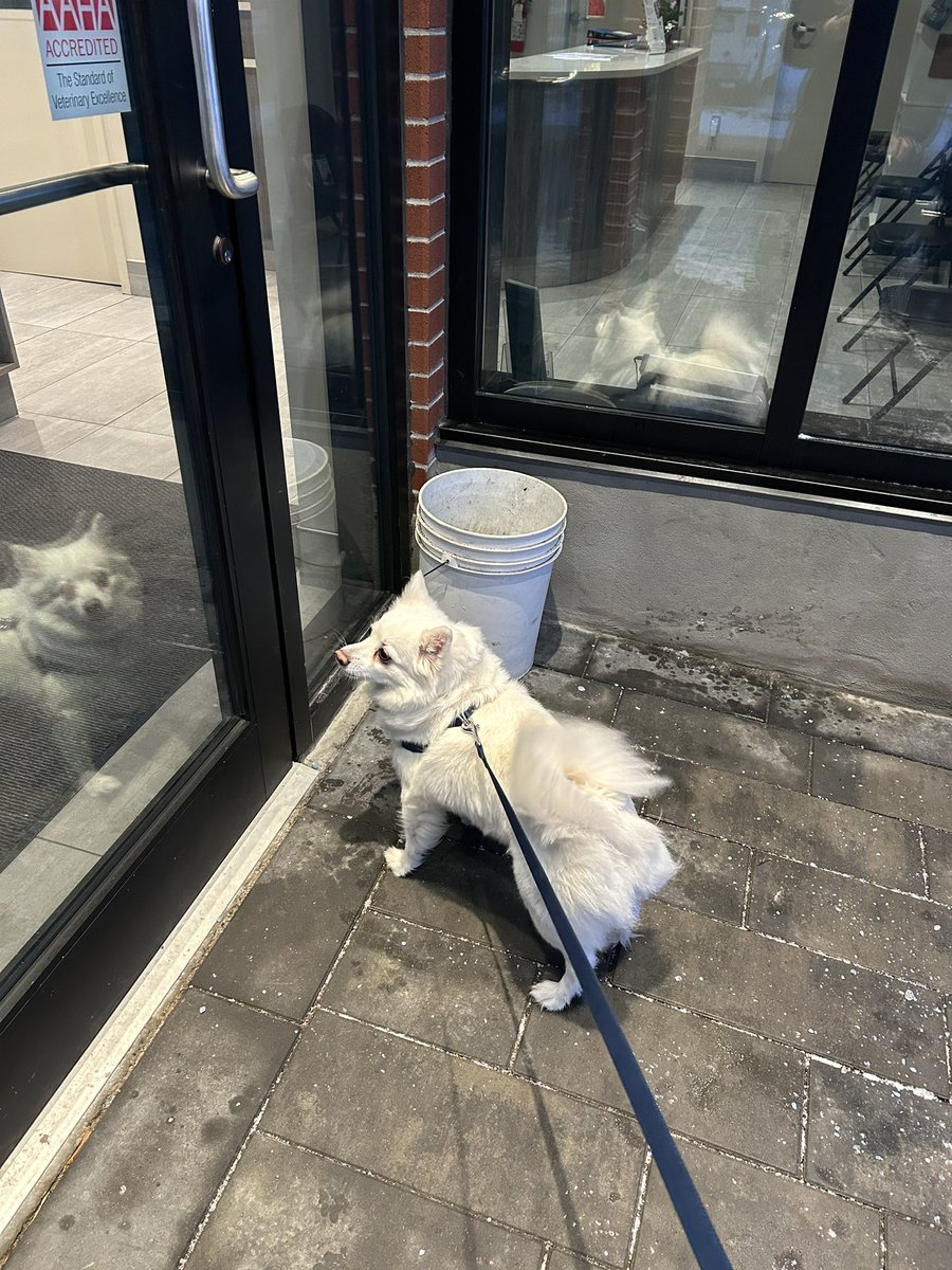ughfluffwhatevr's tweet image. mother