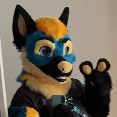 pupperdodger82's tweet photo. #NewProfilePic https://t.co/fF3aUq0rde