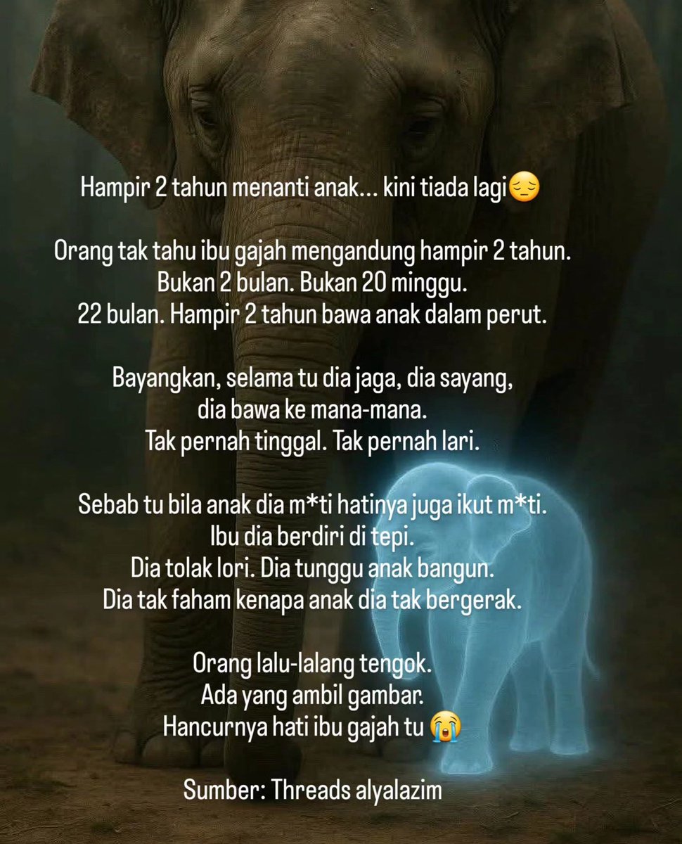 <a href="/bckupacc99/">ًِ</a> Sedihnya ya Allah 😭😭😭