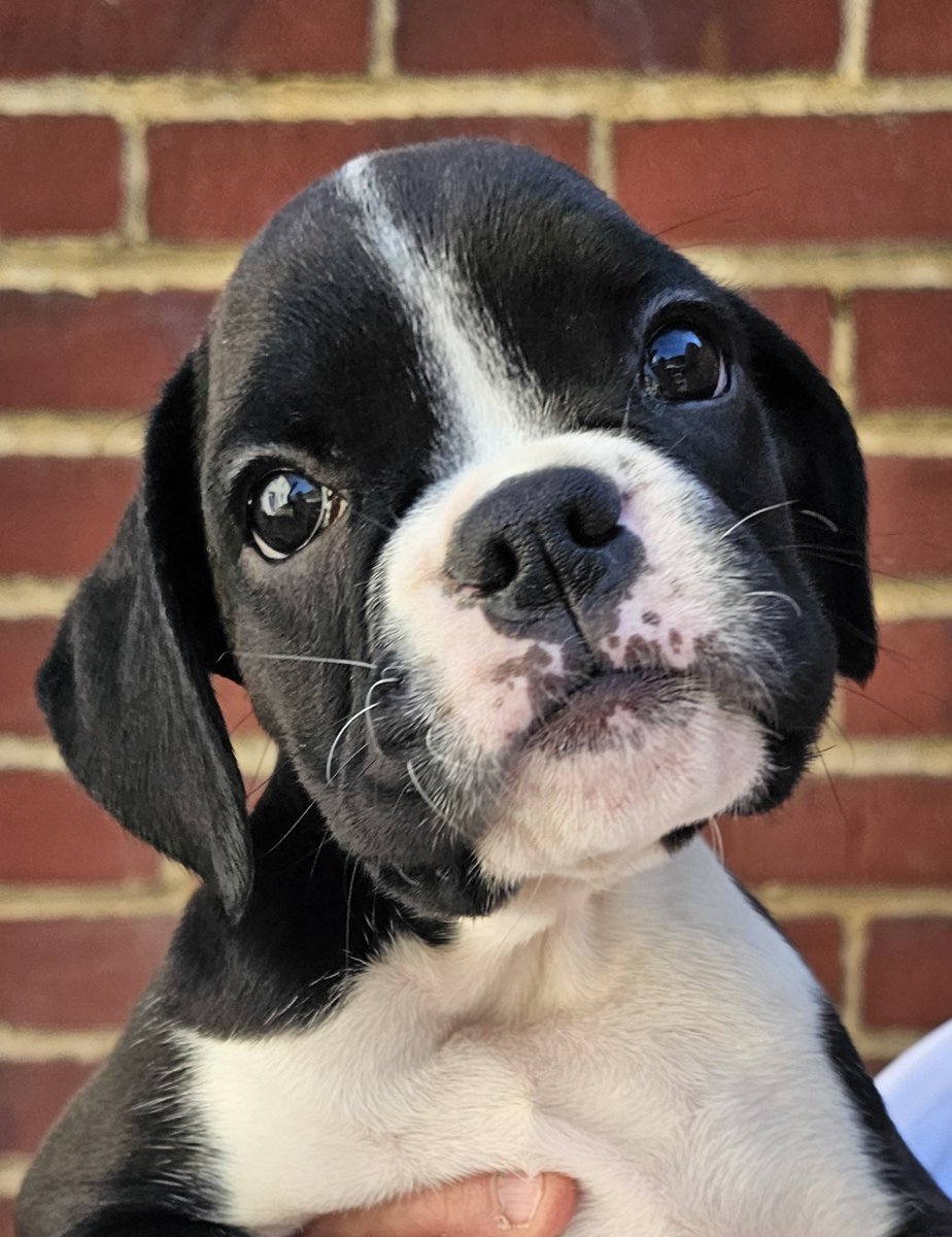 Not long til me sisfur gets ere now !!!!! 2 weeks xxxx