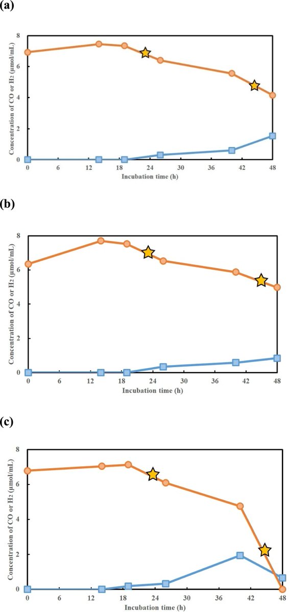 Product Manager (@labbottles) on Twitter photo Microbial compositions in carbon monoxide anaerobic enrichment cultures using sediment from freshwater lake, Lake Biwa
Researchers <a href="/KyotoU_News/">Kyoto University</a> used 100 ml DURAN® bottles with GL 45 Bromobutyl stoppers for anaerobic enrichment culturing of CO utilizers
doi.org/10.1007/s10201… Microbial compositions in carbon monoxide anaerobic enrichment cultures using sediment from freshwater lake, Lake Biwa
Researchers <a href="/KyotoU_News/">Kyoto University</a> used 100 ml DURAN® bottles with GL 45 Bromobutyl stoppers for anaerobic enrichment culturing of CO utilizers
doi.org/10.1007/s10201…
