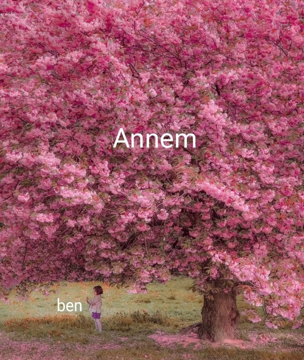 | Tüm annelerin Anneler Günü kutlu olsun.. 🤍🌼💐🌸🦋💟💫