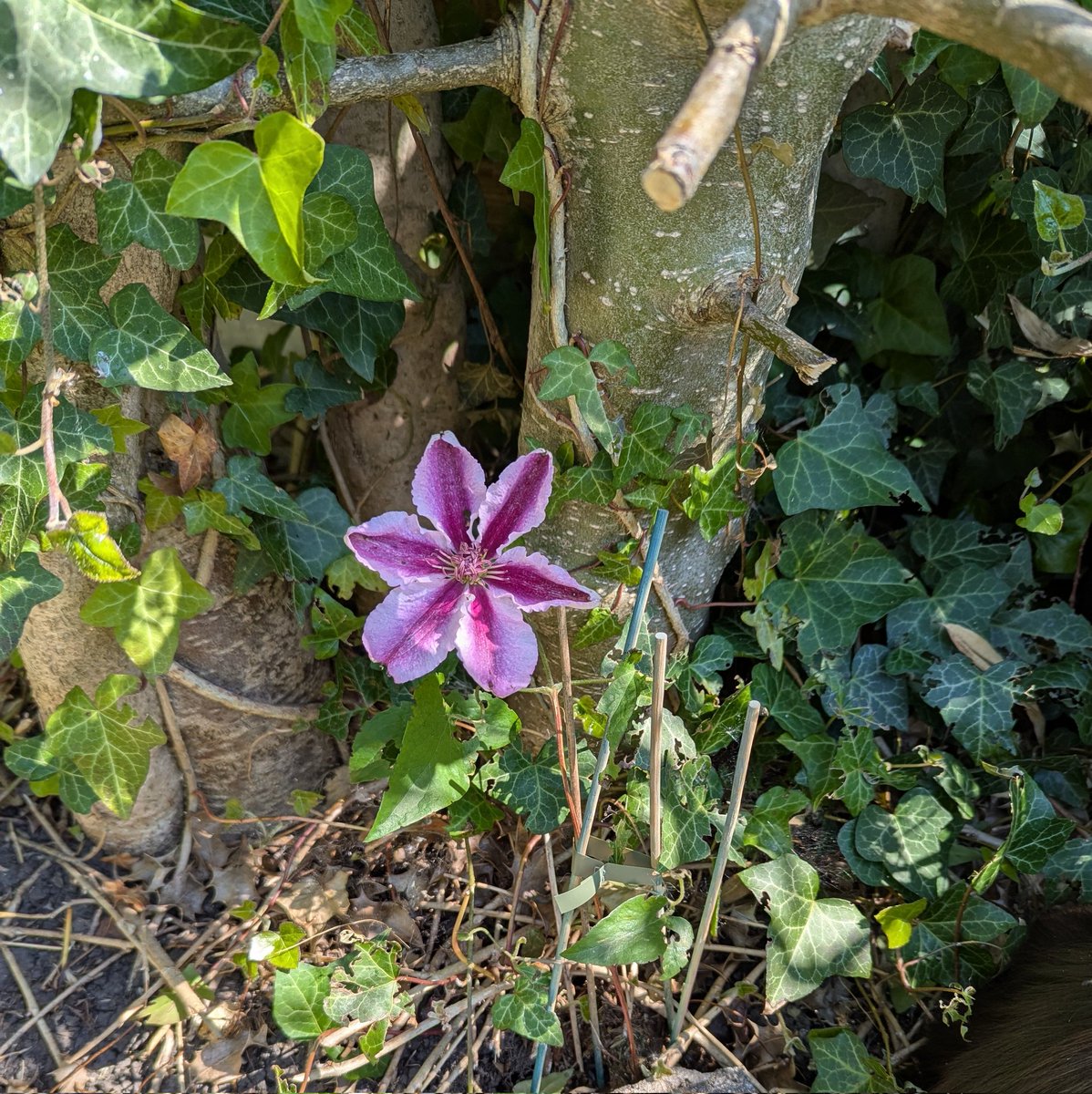 Hope you find many moments of beauty this week.