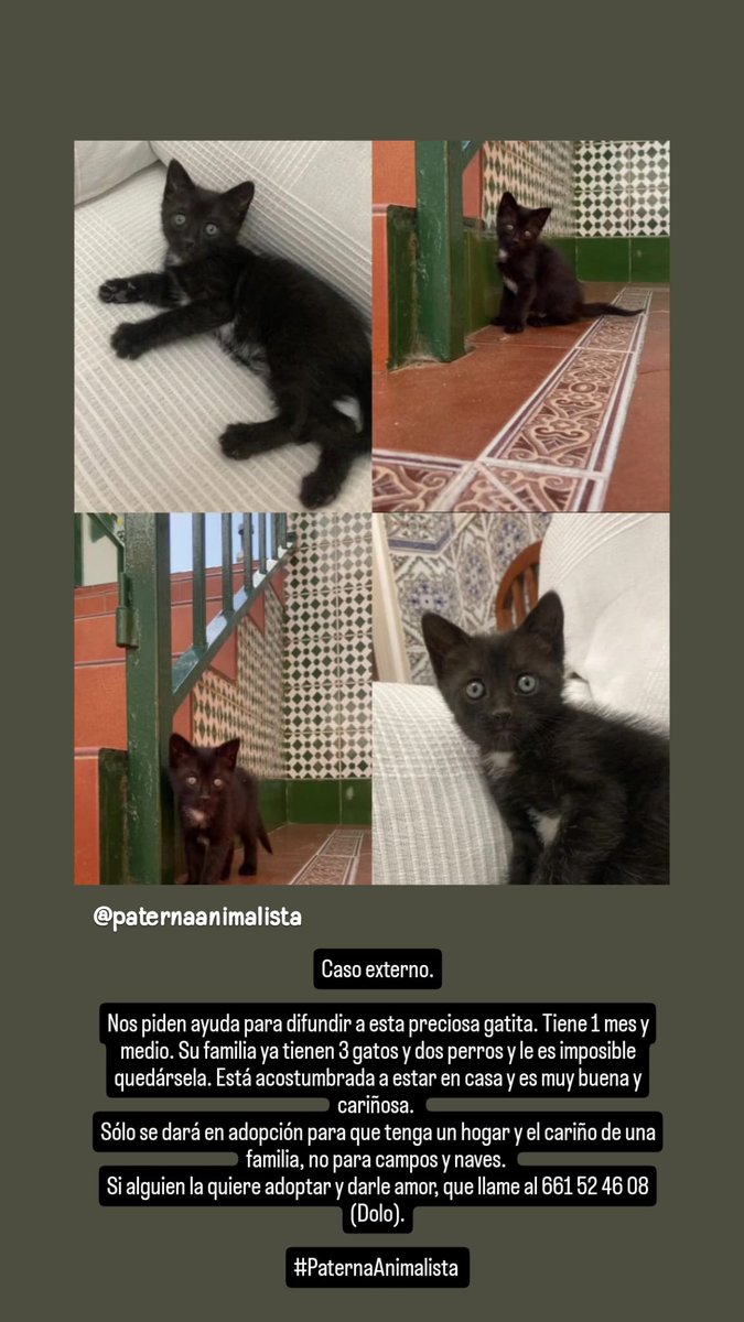 Caso externo.

Este amigo busca #adopciónresponsable. Toda la información en la imagen. Se agradece difusión.

#PaternaAnimalista