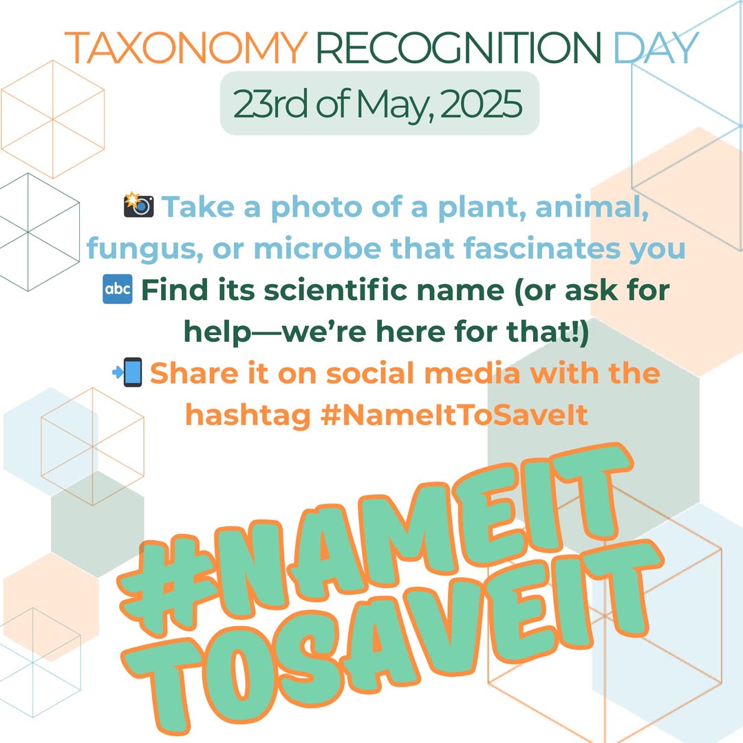 Today is the day #TRD. #nameittosaveit.
Let us see your favourite species.