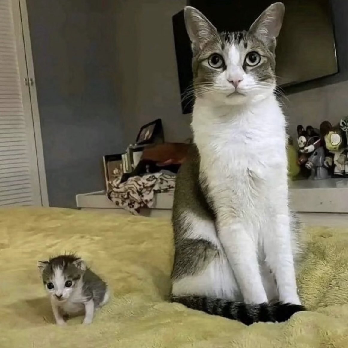 happy mother’s day