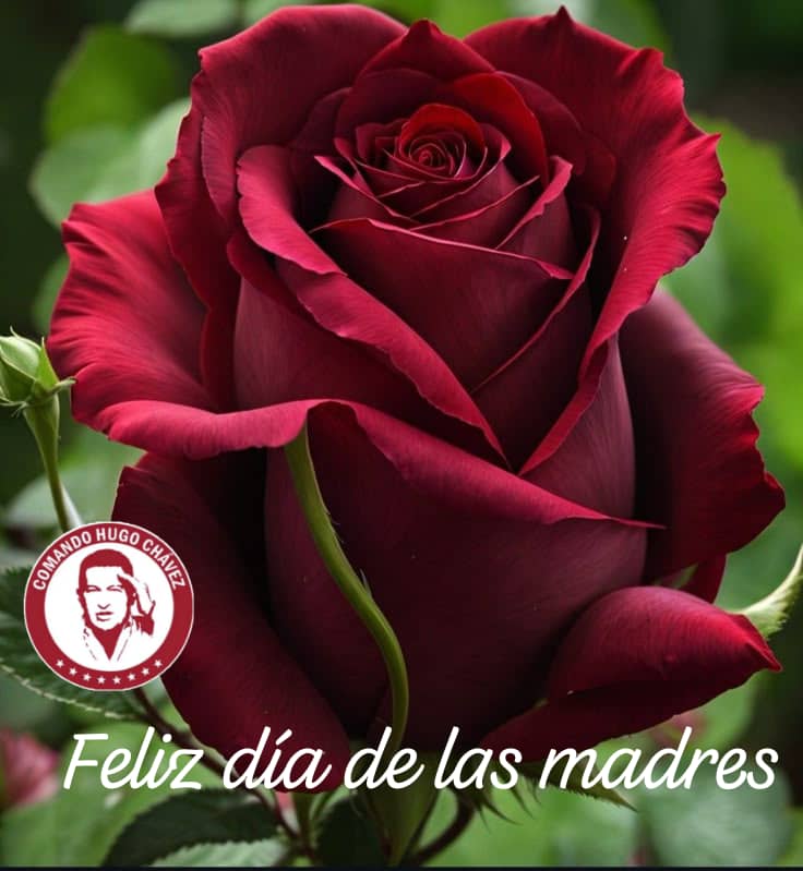 Gladiador (@keibert03) on Twitter photo Feliz día de las madres de mi Hermoso País , mujer luchadora, emprendedora, incansable, mujer de mil batallas y grandes acciones, Dios me las cuide siempre porque de allí venimos a esta tierra un abrazo fuerte desde el fondo de mi corazón <a href="/4F_Mamba/">Mamba Negra</a>
<a href="/magdelin79/">💖Made79💖🇻🇪#TropaDeLaSalud</a>
<a href="/LaBunkeB/">Thania la Merideñita</a> Feliz día de las madres de mi Hermoso País , mujer luchadora, emprendedora, incansable, mujer de mil batallas y grandes acciones, Dios me las cuide siempre porque de allí venimos a esta tierra un abrazo fuerte desde el fondo de mi corazón <a href="/4F_Mamba/">Mamba Negra</a>
<a href="/magdelin79/">💖Made79💖🇻🇪#TropaDeLaSalud</a>
<a href="/LaBunkeB/">Thania la Merideñita</a>