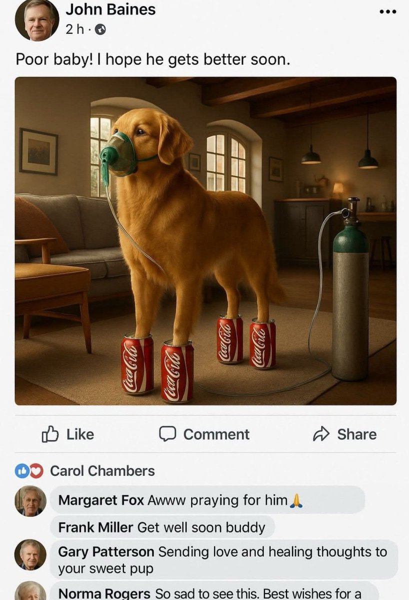 AI Notkilleveryoneism Memes ⏸️ (@aisafetymemes) on Twitter photo DEAD INTERNET LEVEL 1) "The photo is an AI fake"
DEAD INTERNET LEVEL 2) "The commenters are also AI fakes"
DEAD INTERNET LEVEL 3) "Wait, the whole screenshot is an AI fake too??" Even <a href="/FacebookAIslop/">Insane Facebook AI slop</a> fell for it!
DEAD INTERNET LEVEL 4) _______? DEAD INTERNET LEVEL 1) "The photo is an AI fake"
DEAD INTERNET LEVEL 2) "The commenters are also AI fakes"
DEAD INTERNET LEVEL 3) "Wait, the whole screenshot is an AI fake too??" Even <a href="/FacebookAIslop/">Insane Facebook AI slop</a> fell for it!
DEAD INTERNET LEVEL 4) _______?