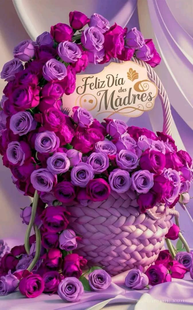 Yisel Fresneda tweet media