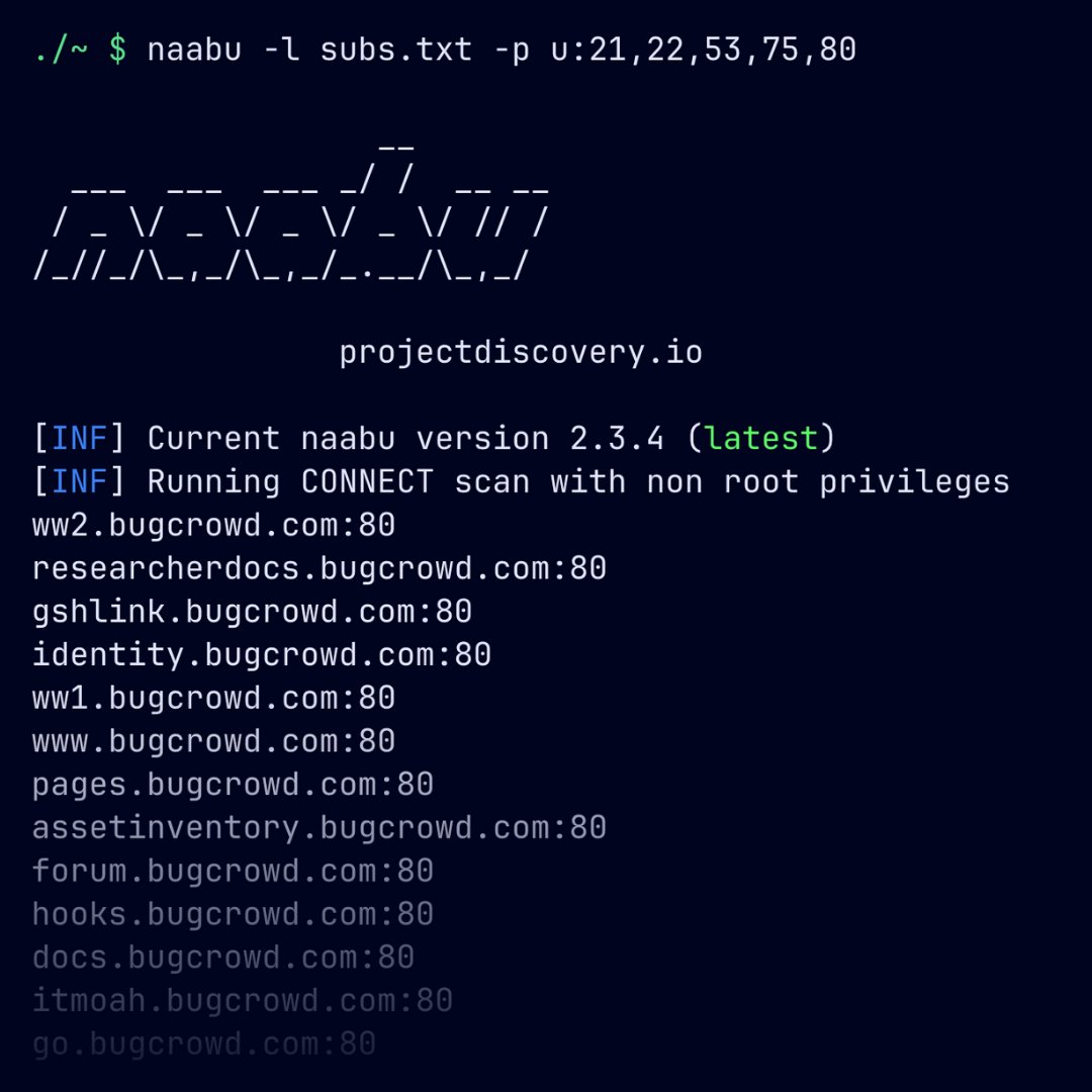 Did you know naabu supports UDP port scanning too? 🚀

Just run: naabu -l <targets> -p u:<port>,<port>,<port>

Super handy for broadening your recon game.

#opensource #hacking #cybersecurity #portscanning #bugbounty