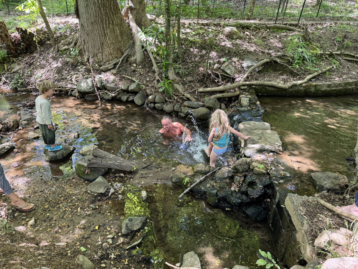 RobertKennedyJr's tweet image. Mother’s Day hike in Dumbarton Oaks Park with Amaryllis, Bobby, Kick, and Jackson, and a swim with my grandchildren, Bobcat and Cassius in Rock Creek.