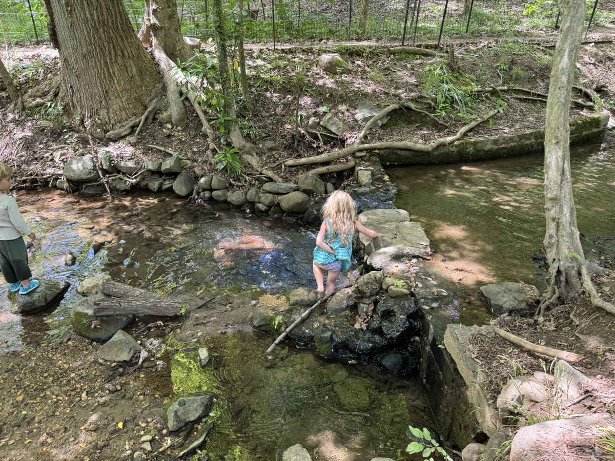 RobertKennedyJr's tweet image. Mother’s Day hike in Dumbarton Oaks Park with Amaryllis, Bobby, Kick, and Jackson, and a swim with my grandchildren, Bobcat and Cassius in Rock Creek.