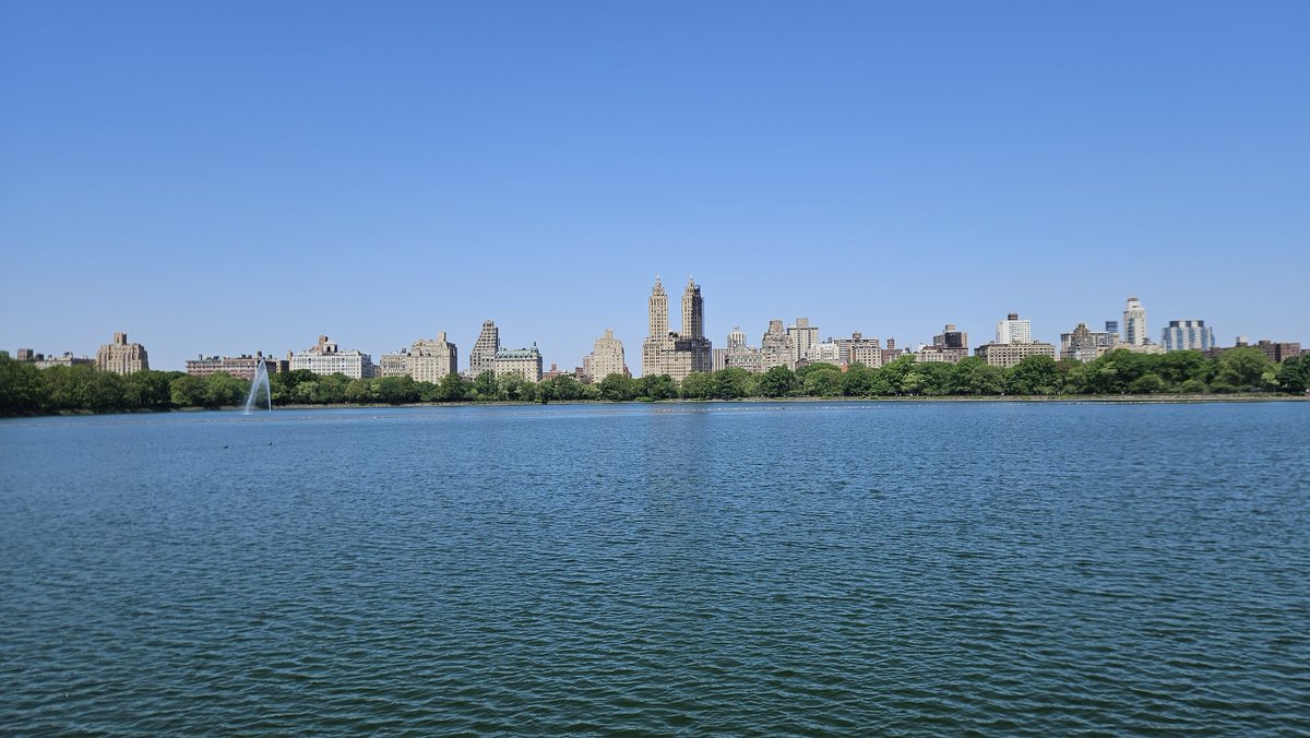 hocekm's tweet image. Central Park NY