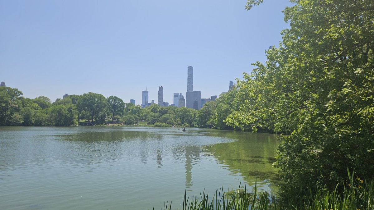 hocekm's tweet image. Central Park NY