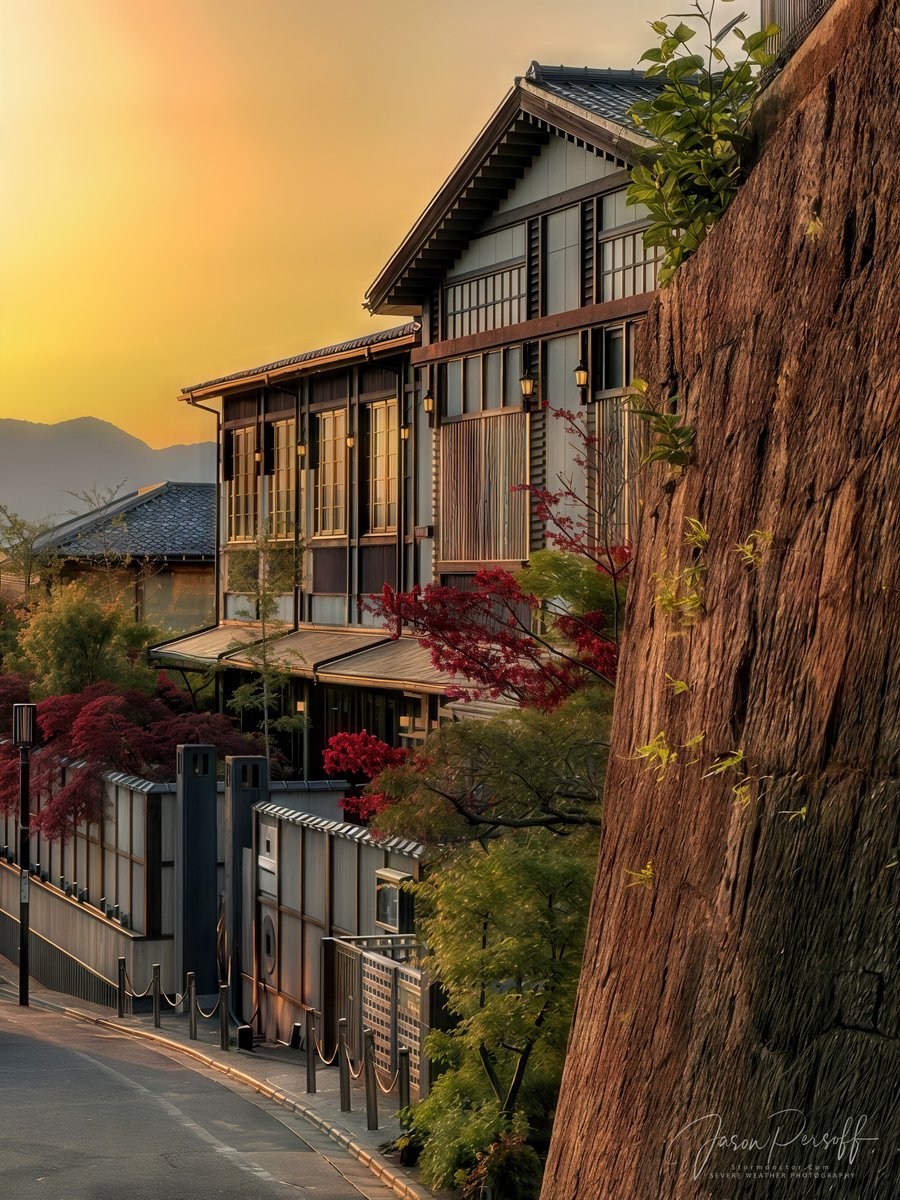 There is something beyond magical at sunset with Japanese maple and construction to capture it with.