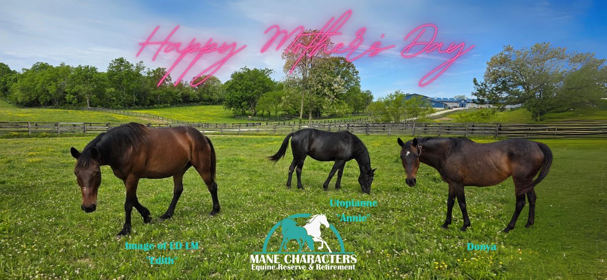 Mane Characters Equine Reserve & Retirement tweet media