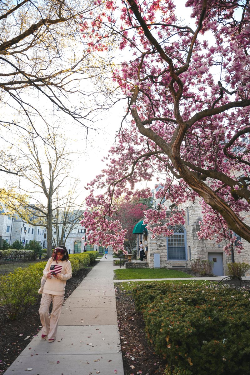 Spring scenes 🌸 

📸 Jonah Elkowitz