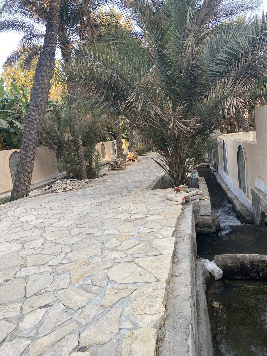 mohed_nasir's tweet photo. عامد قرية الظاهر بولاية بدية يُعد من المعالم التراثية الفريدة، يمر بمحاذاة الفلج بين المزارع والنخيل في مشهد طبيعي أخّاذ. يُرتقب أن يتحوّل إلى مزار سياحي بارز ورافد اقتصادي مهم لمحافظة شمال الشرقية، لما يحمله من قيمة تاريخية وجمالية.

@NorthSharqiyah @Municipality_NS https://t.co/PkxtnJyZIO