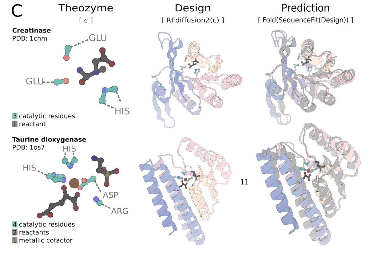 Reading group tomorrow: <a href="/json_yim/">Jason Yim</a> and <a href="/woodyahern/">Woody Ahern</a> present "Atom level enzyme active site scaffolding using RFdiffusion2" biorxiv.org/content/10.110…

Join on Zoom at 9am PT / 12pm ET / 6pm CEST: portal.valencelabs.com/starklyspeaking