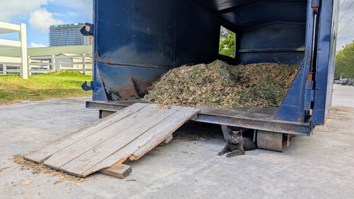 Sea Warrior Stables tweet media