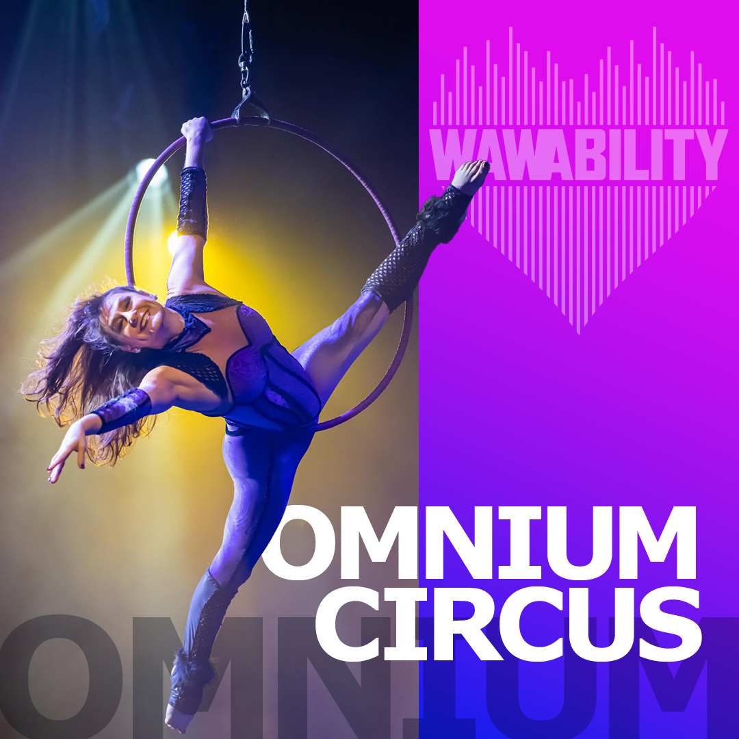 WAWABILITY tweet media