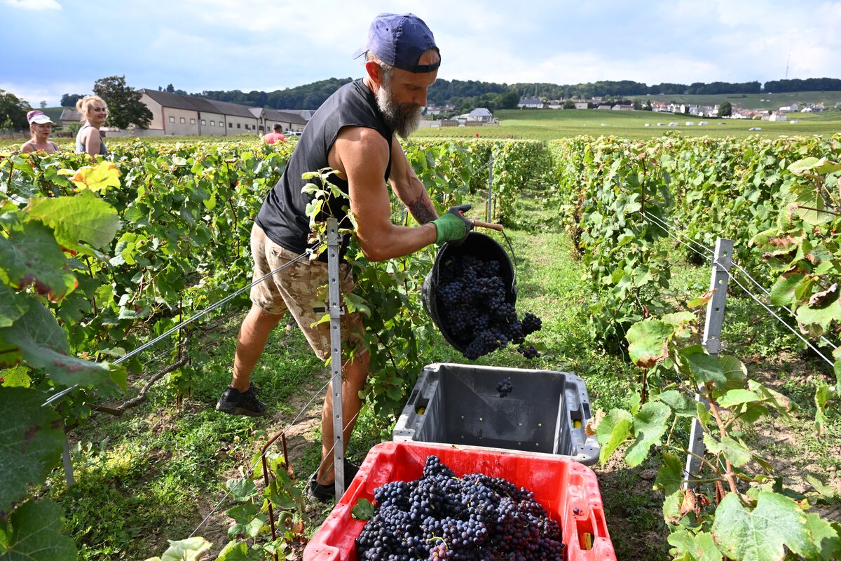 Sparkling trouble: How U.S. tariffs threaten France’s Champagne winemaker theglobeandmail.com/business/artic…