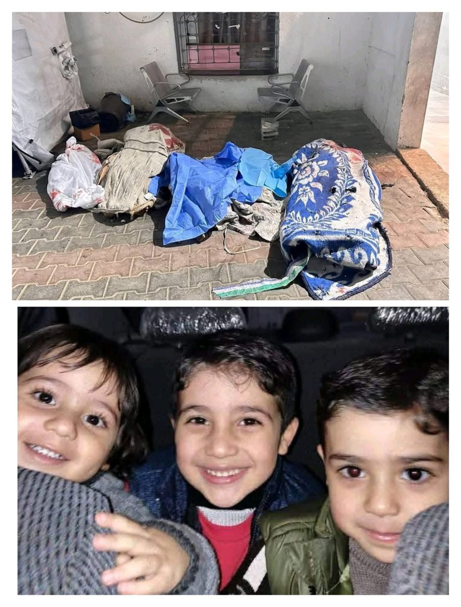 Nasıl bir imtihansın Gazze 😔

#TrumpStopTheW Hamas #osestürkiye #EmekliMemur #SonDakika Arda Güler