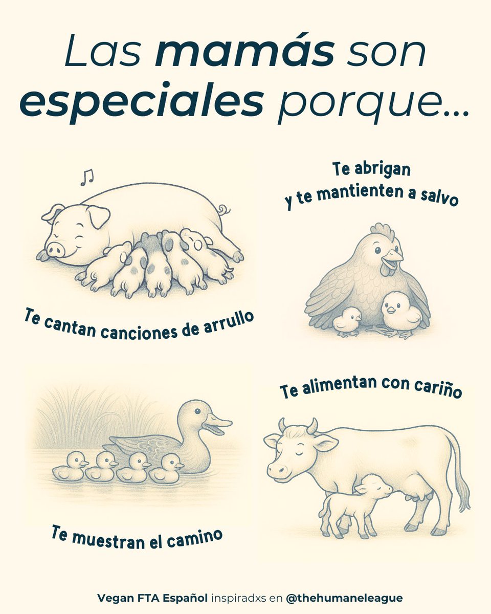 VeganFTAEspanol's tweet image. Hoy es el Día de la Madre en varios países de Latinoamérica ❤️

En este día especial recuerda que el amor de madre es algo que tenemos en común otras especies 🙏

👉 Ayuda gratuita para hacerte vegan: bit.ly/Vegano22

#mamas #amordemadre #madresolohayuna