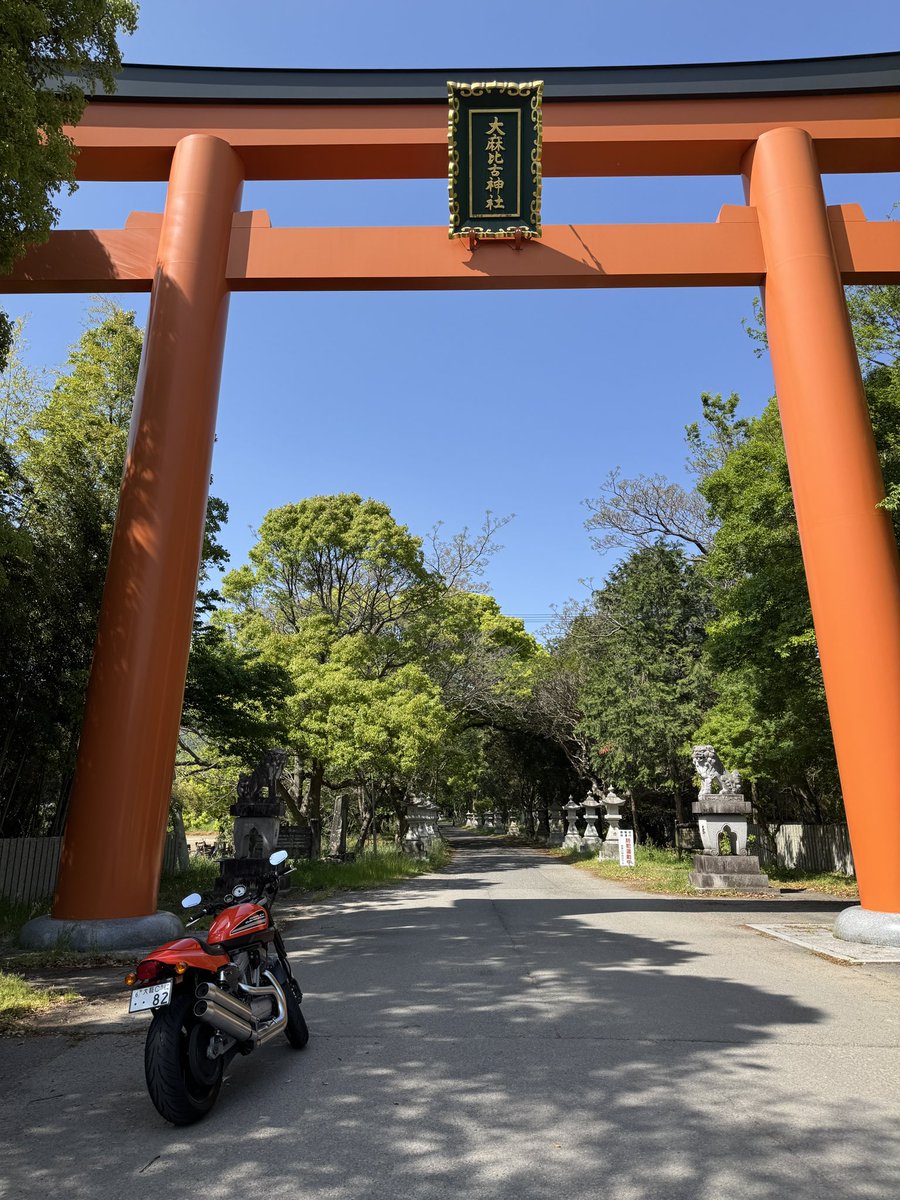 mustang817's tweet photo. GW1人徳島旅
室戸への道最高すぎる https://t.co/xgf2cqUq5u