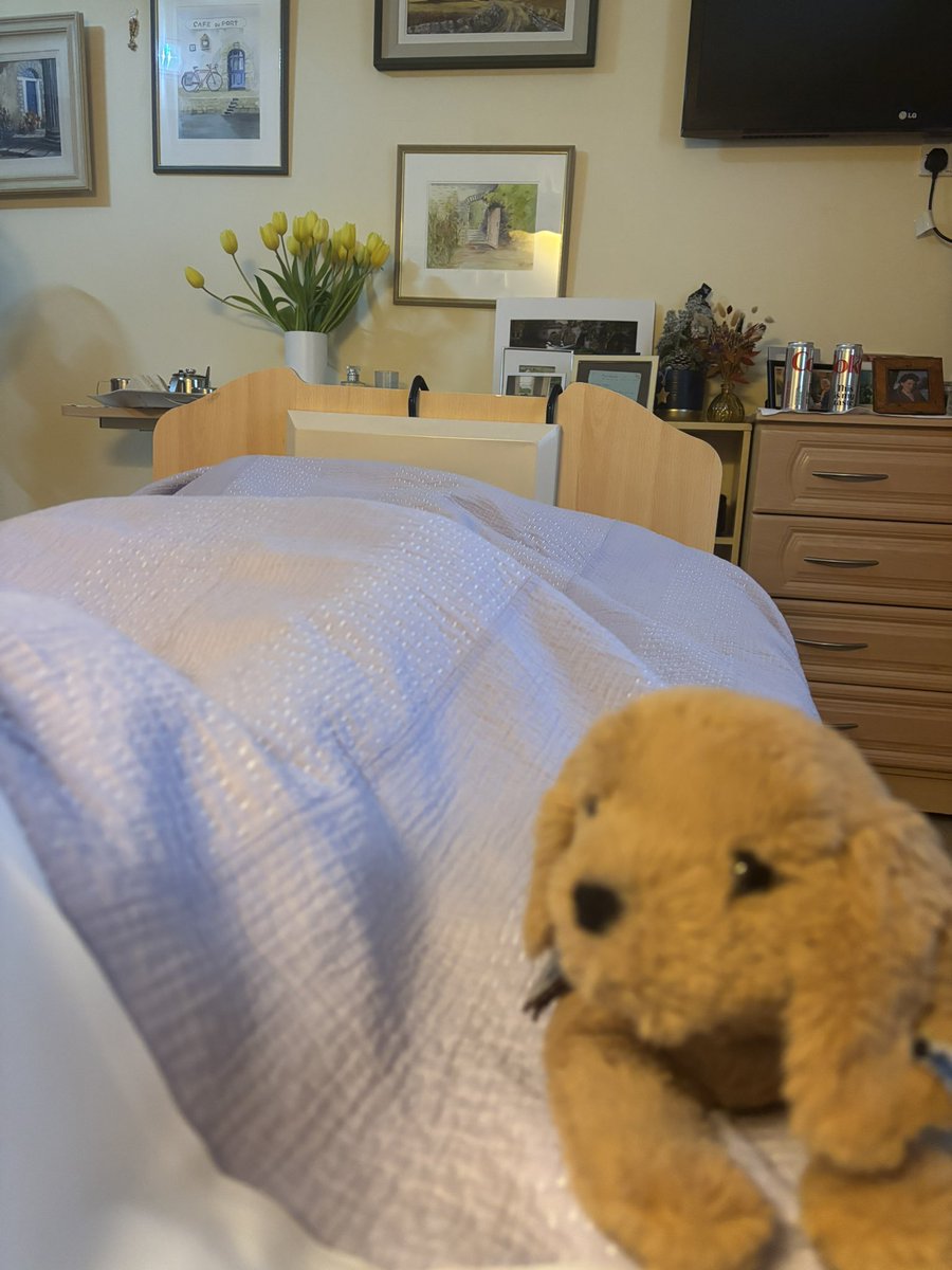 Eithne Harley tweet media