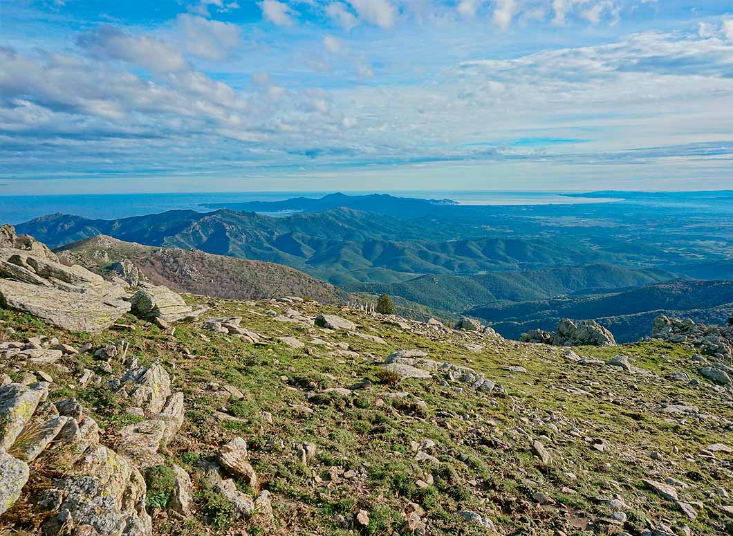🧵 La setmana passada el Parlament va fer el primer pas per al futur Parc Natural de l’Albera. Topa amb interessos poderosos, però es van aprovar tots els punts per part de tothom tret de PP, Vox i AC (aquests no hi eren).

S’hi ha pogut arribar per moltíssima feina prèvia. 1/4