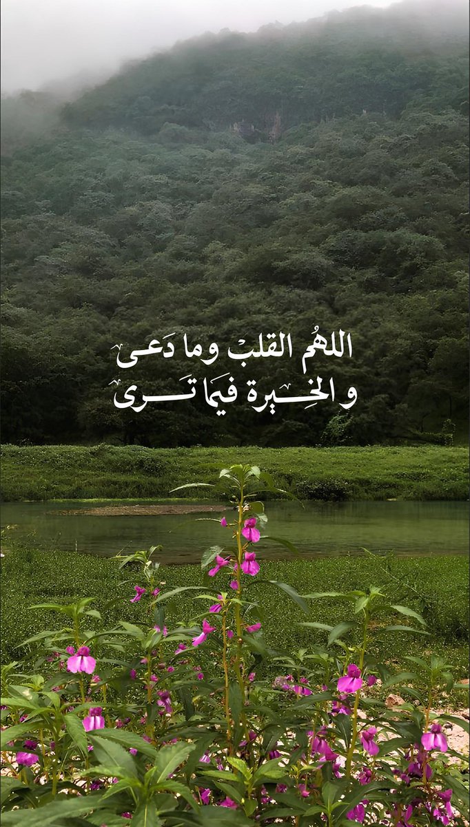 #برشلونه_ريال_مدريد 
#الشعراوي