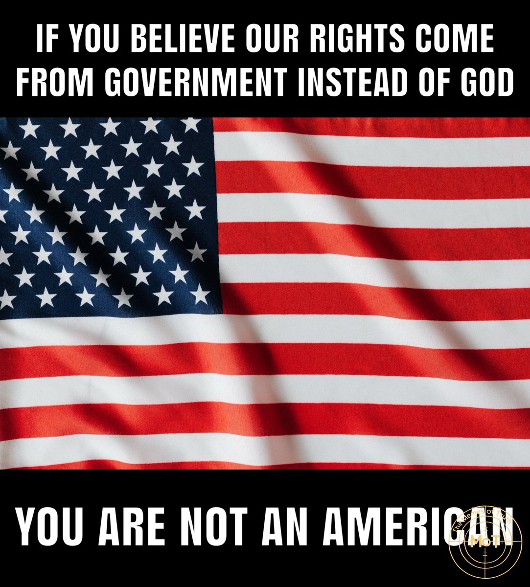 TheMemesOfTruth's tweet image. Our constitution limits our government, not our rights.