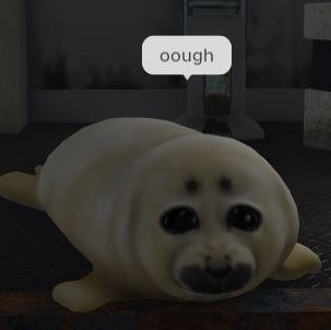 big news to niko lovers
he has been added to be a silly seal on roblox!! (pictures from the be a silly seal discord server)