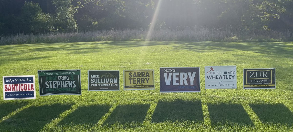 Yinz thought I was joking? 

The 2025 Allegheny County Court of Common Pleas Race - in yard sign form.