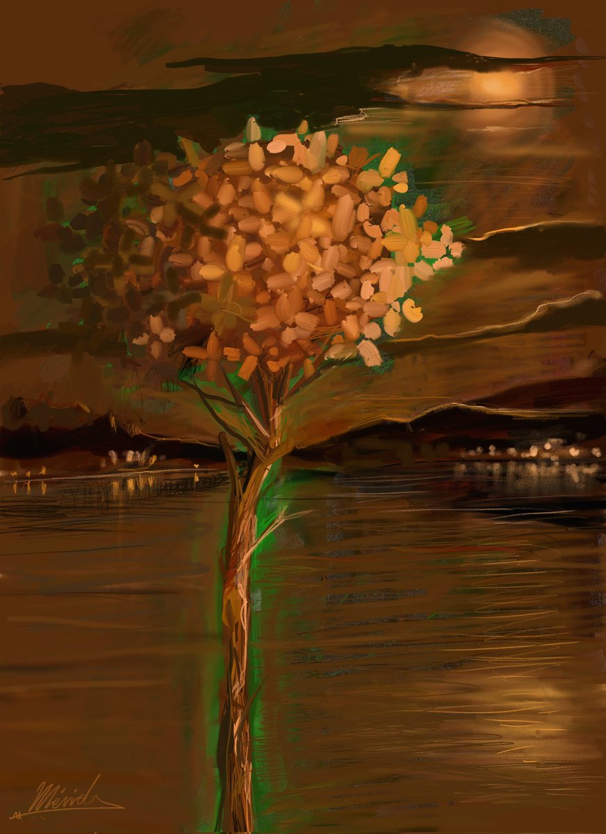 Andresmerida64's tweet photo. LUZ DE TARDE. Creación digital. Mlg 2025 https://t.co/fnDwgffFPH