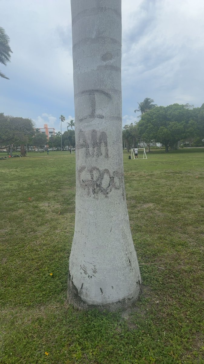 Hoth315 found #cubiecoin in a White vault at this location! Join me playing #cubieverse, It's awesome!   #17503424