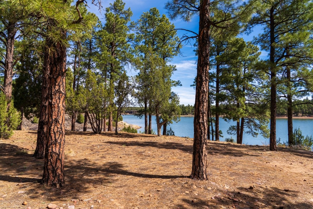 westernlandsale's tweet photo. Event week at Silver Creek Ranch 🌲

Give us a call to set up your appt. today! Details below:
📍 Show Low, AZ
🗓️ Saturday, May 17
📞 1-800-THE-LAND https://t.co/7DMqHeZUxW