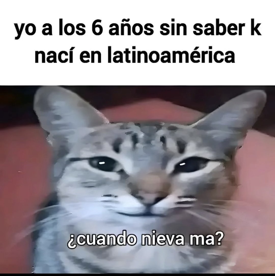 JuanIgnacioGV's tweet image. 