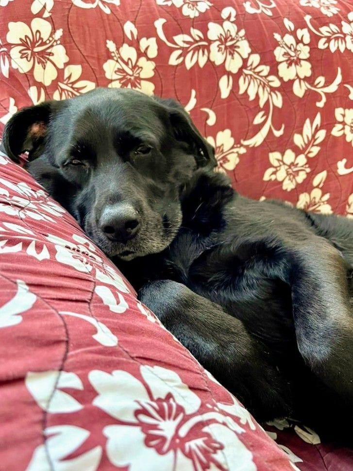 I'm very sick🥺please pray for me🙏🙏