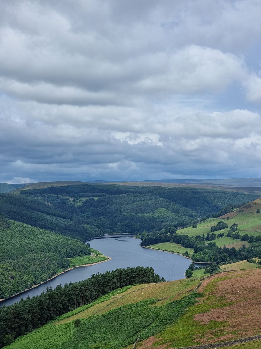 Louis Muir tweet media